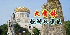 骚屄群奸中国浙江-绍兴大香林旅游风景区